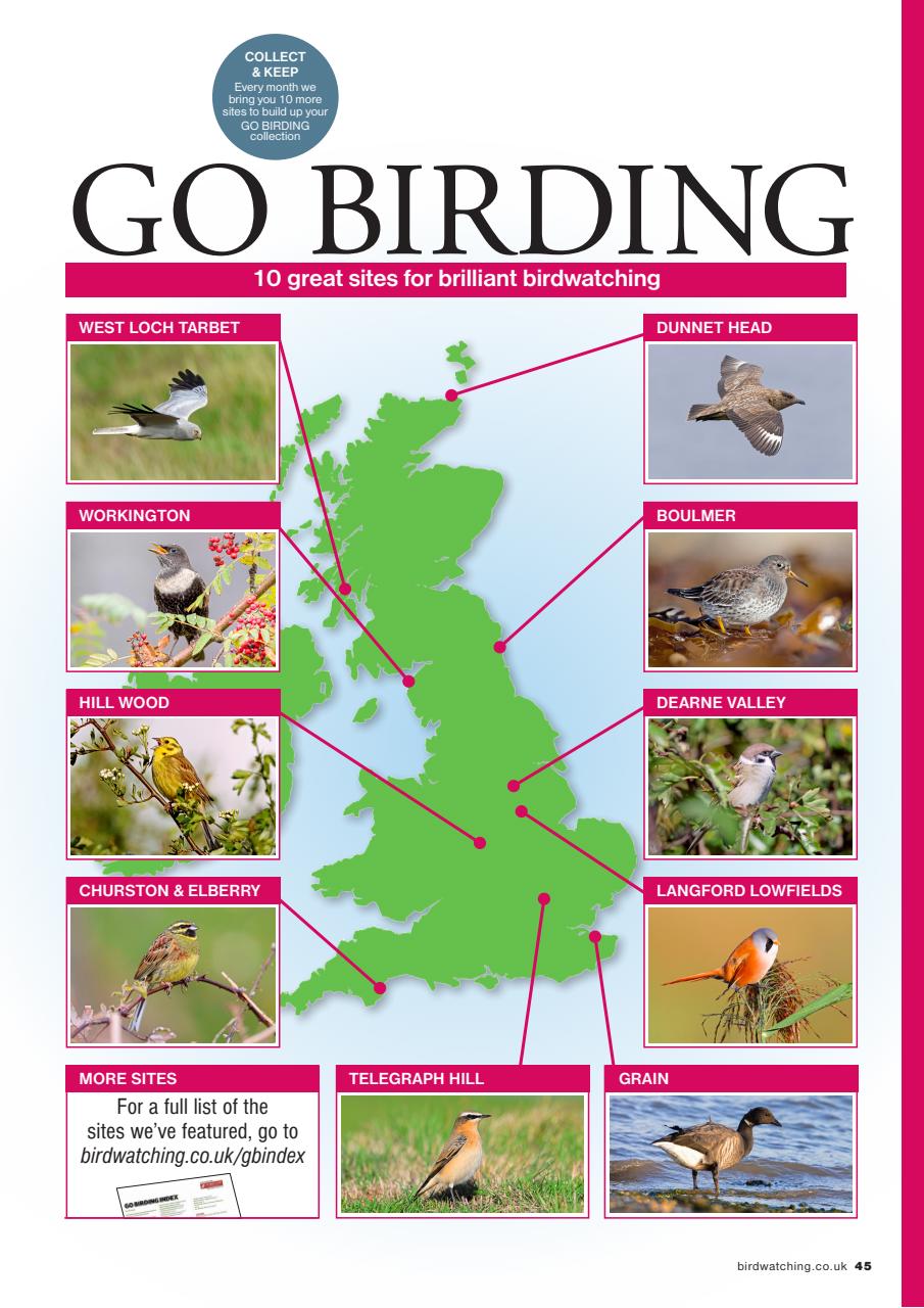 Bird Watching Preview Pages