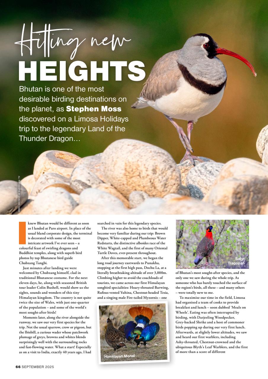 Bird Watching Preview Pages