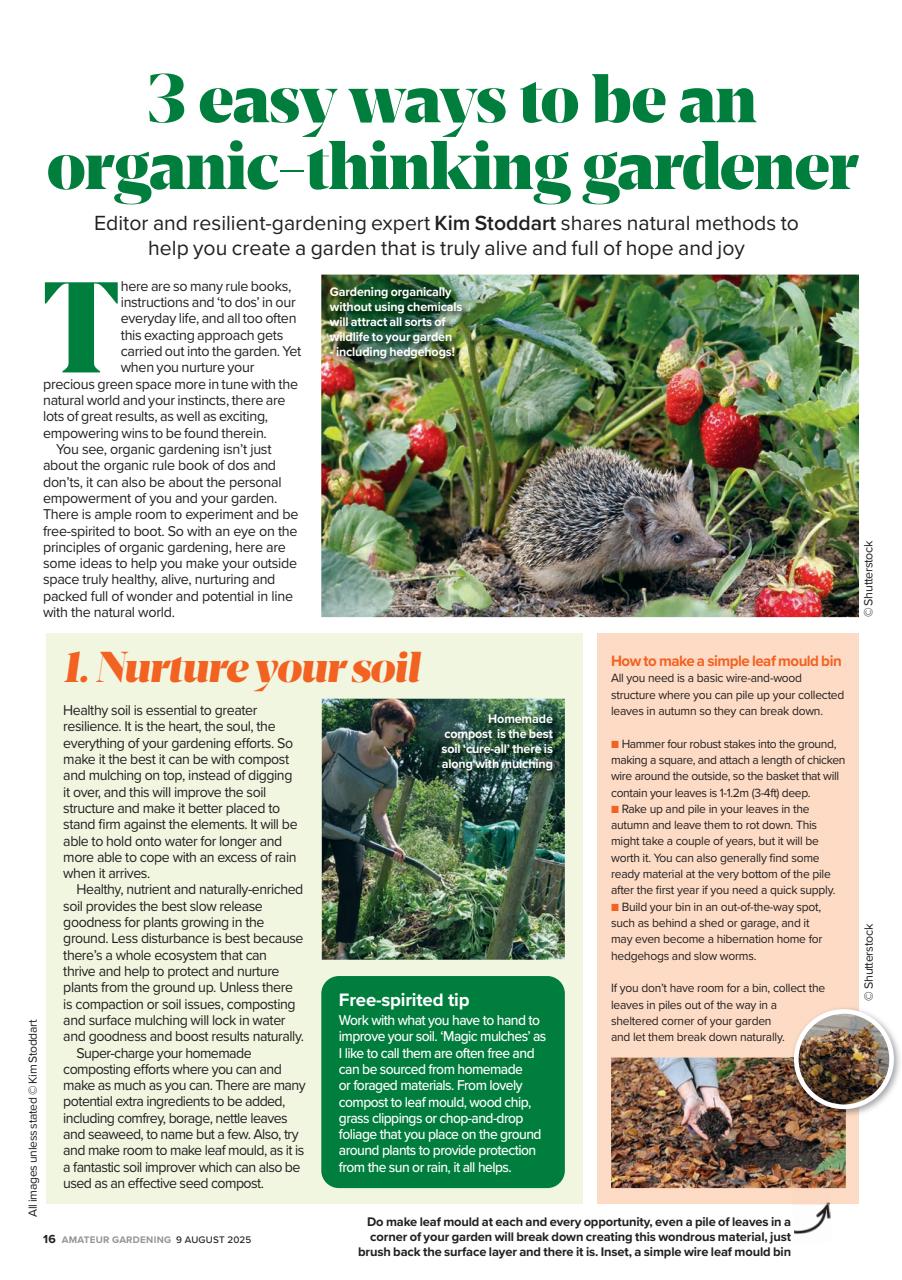 Amateur Gardening Preview Pages