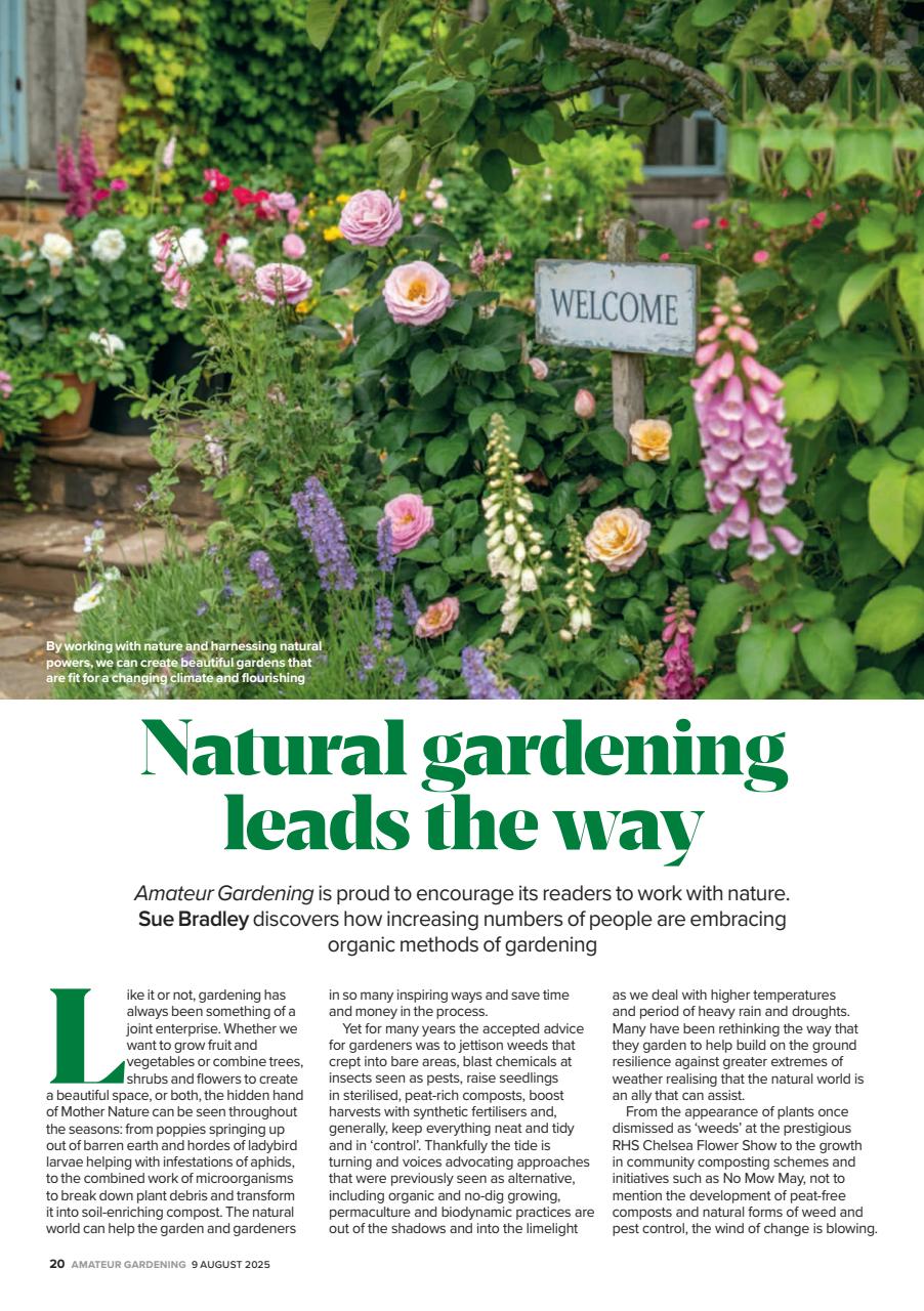Amateur Gardening Preview Pages