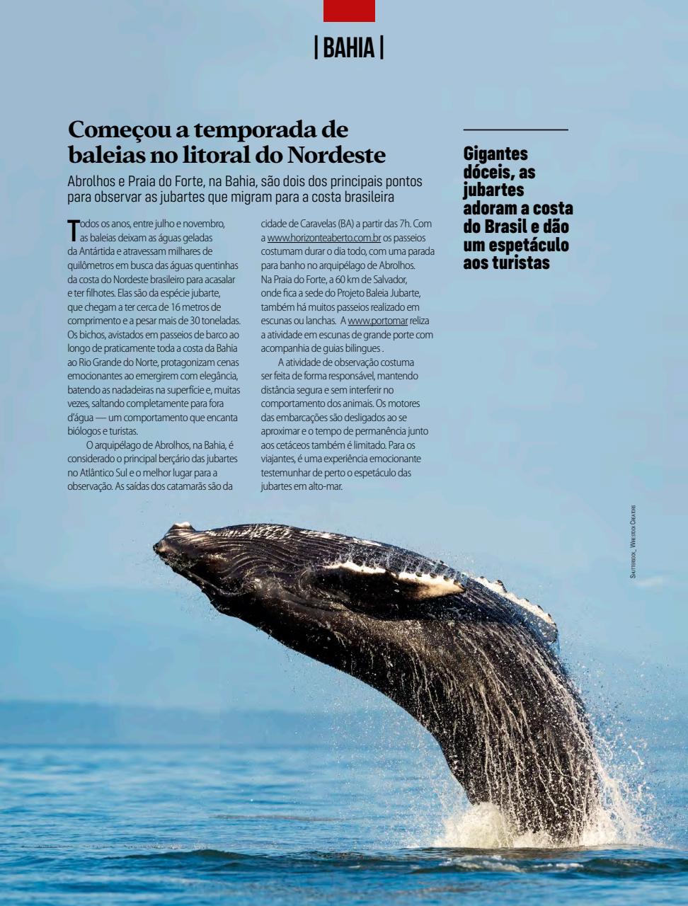 Viaje Mais Preview Pages