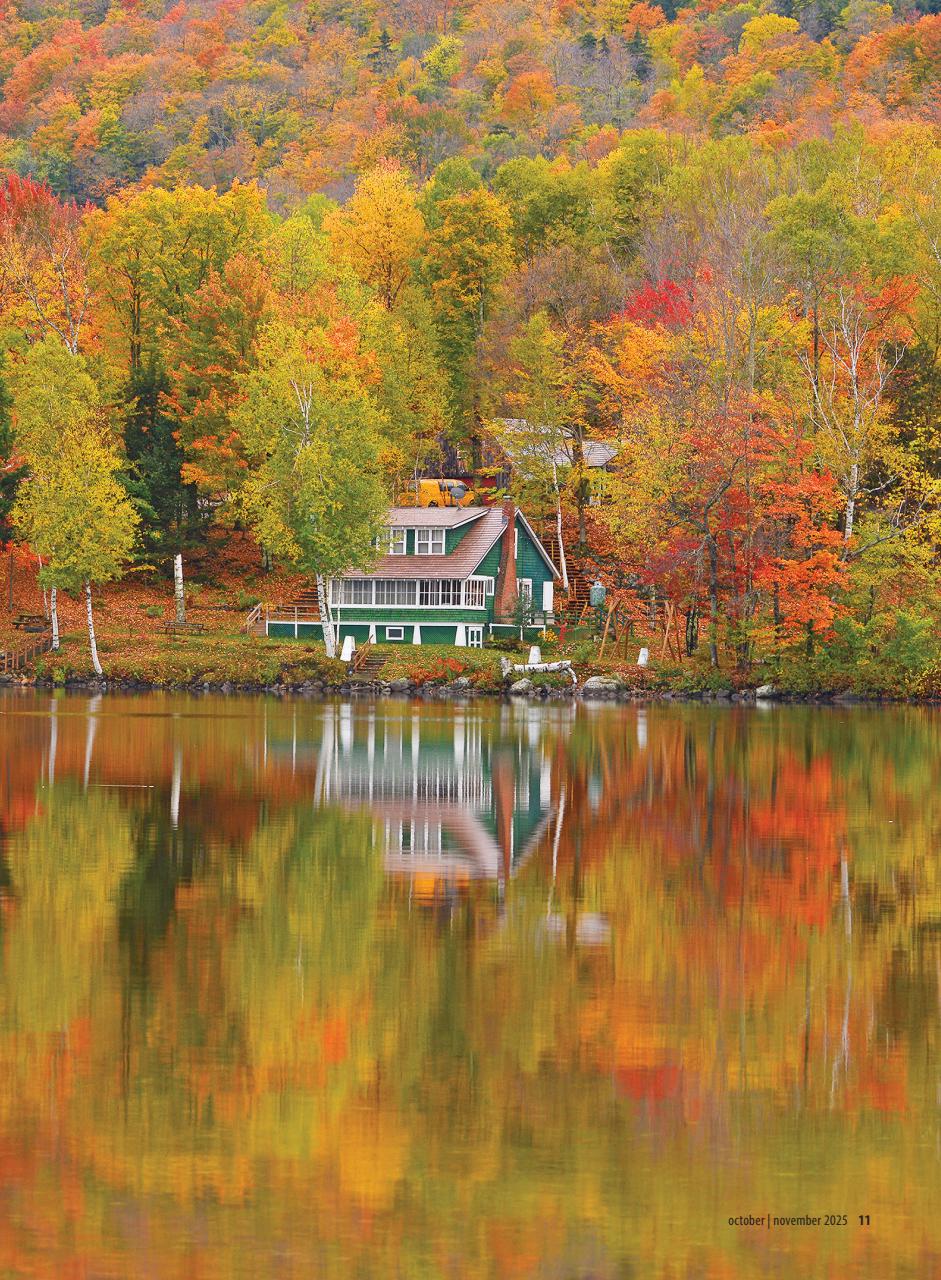 Cottages and Bungalows Preview Pages