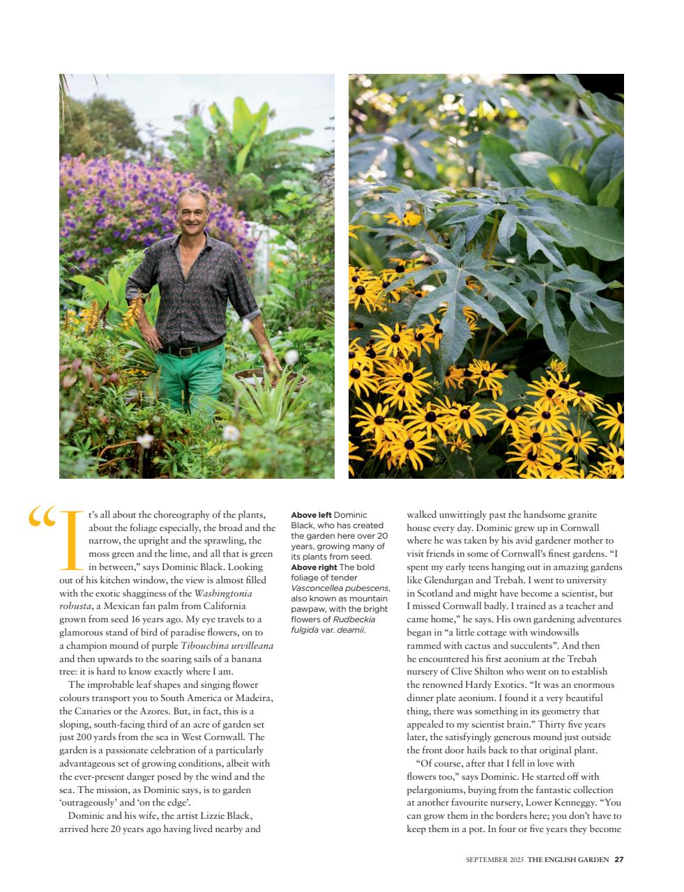 The English Garden Preview Pages