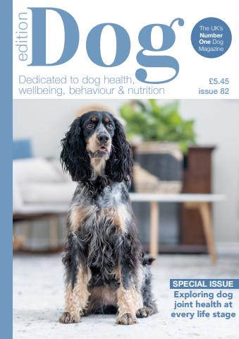 Edition Dog issue Edition Dog 82