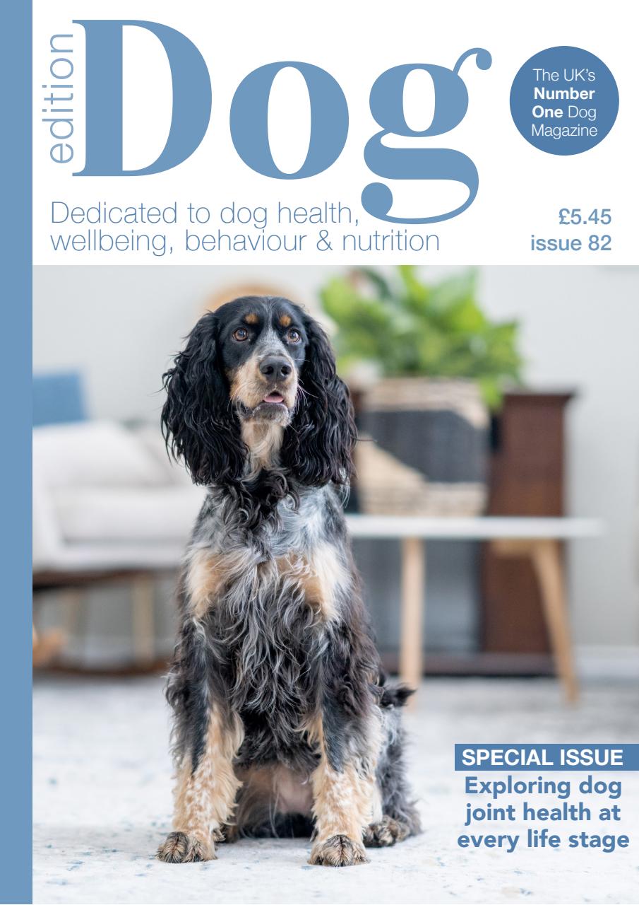 Edition Dog Preview Pages
