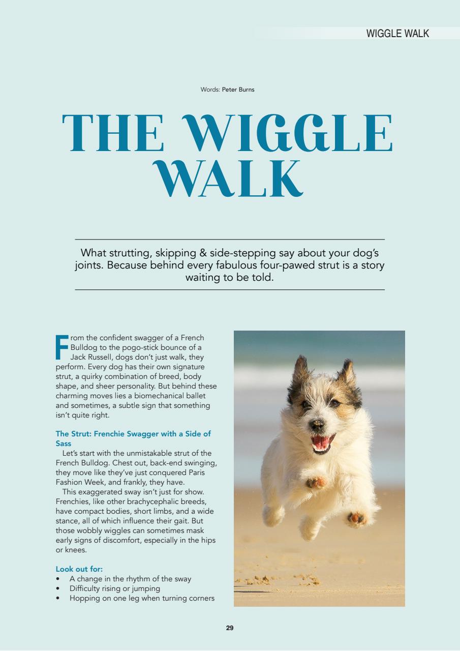Edition Dog Preview Pages