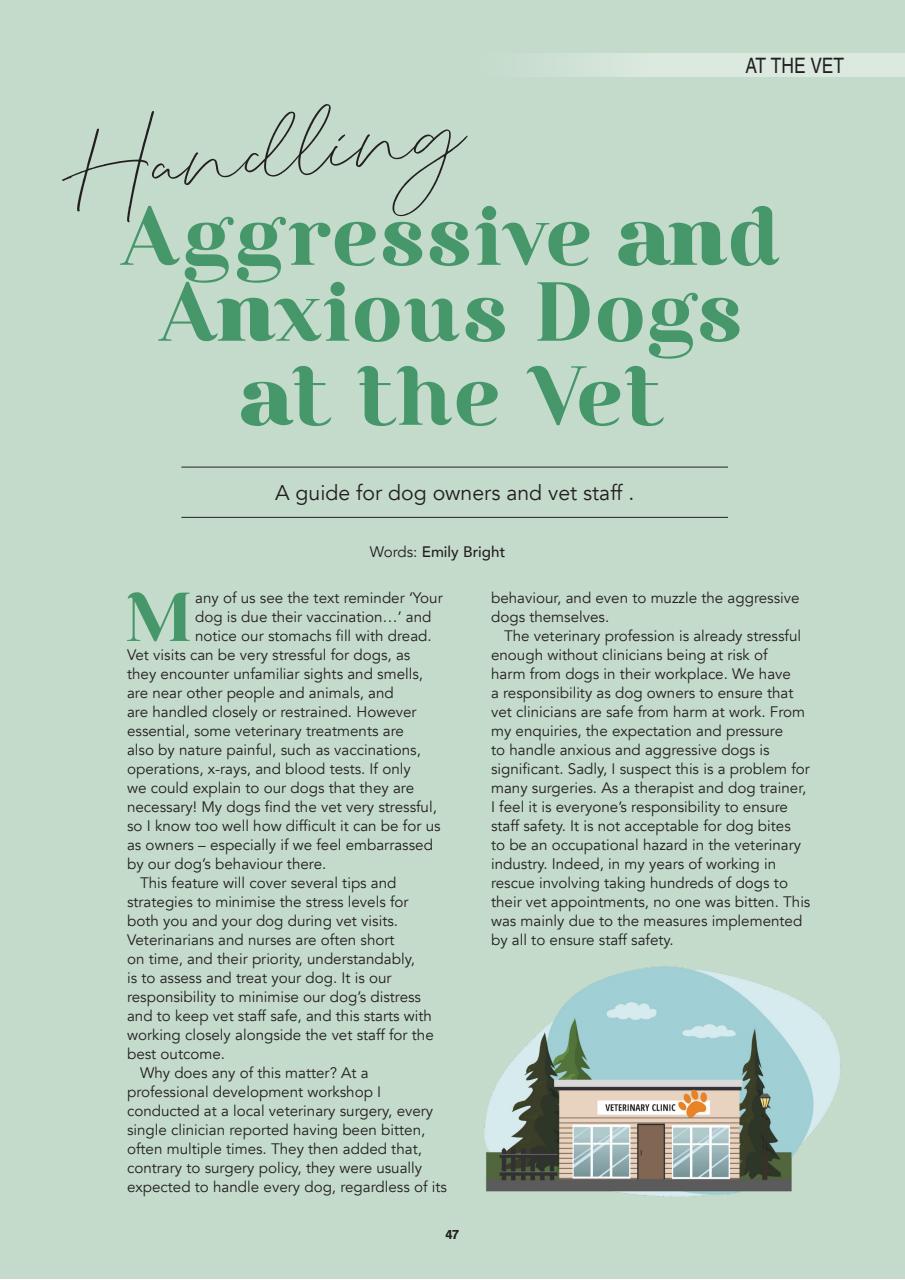 Edition Dog Preview Pages