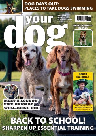 Your Dog issue Your Dog - September 2025