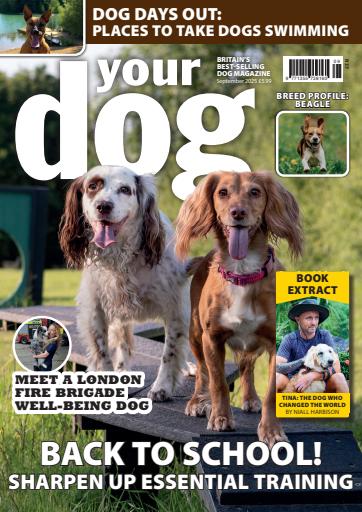 Your Dog issue 