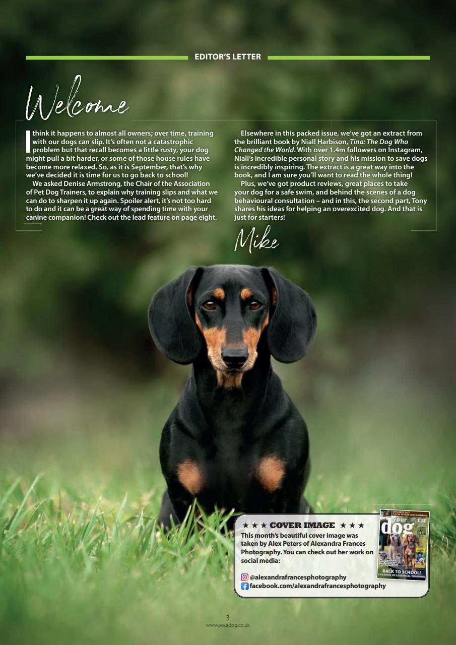 Your Dog Preview Pages