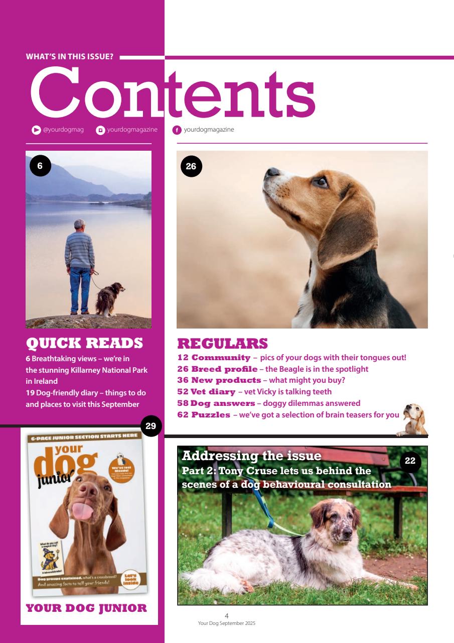 Your Dog Preview Pages