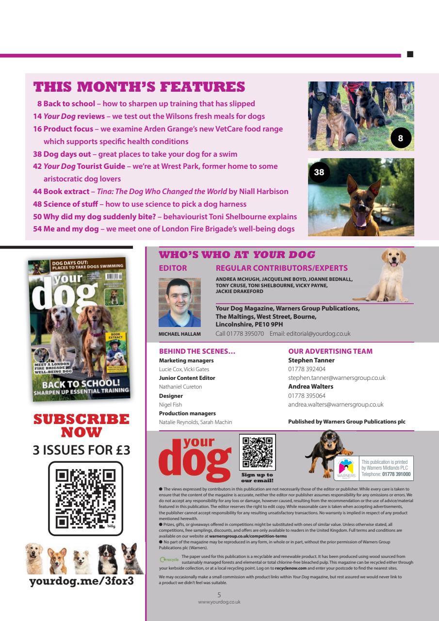 Your Dog Preview Pages