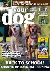 Your Dog Complete Your Collection Cover 1