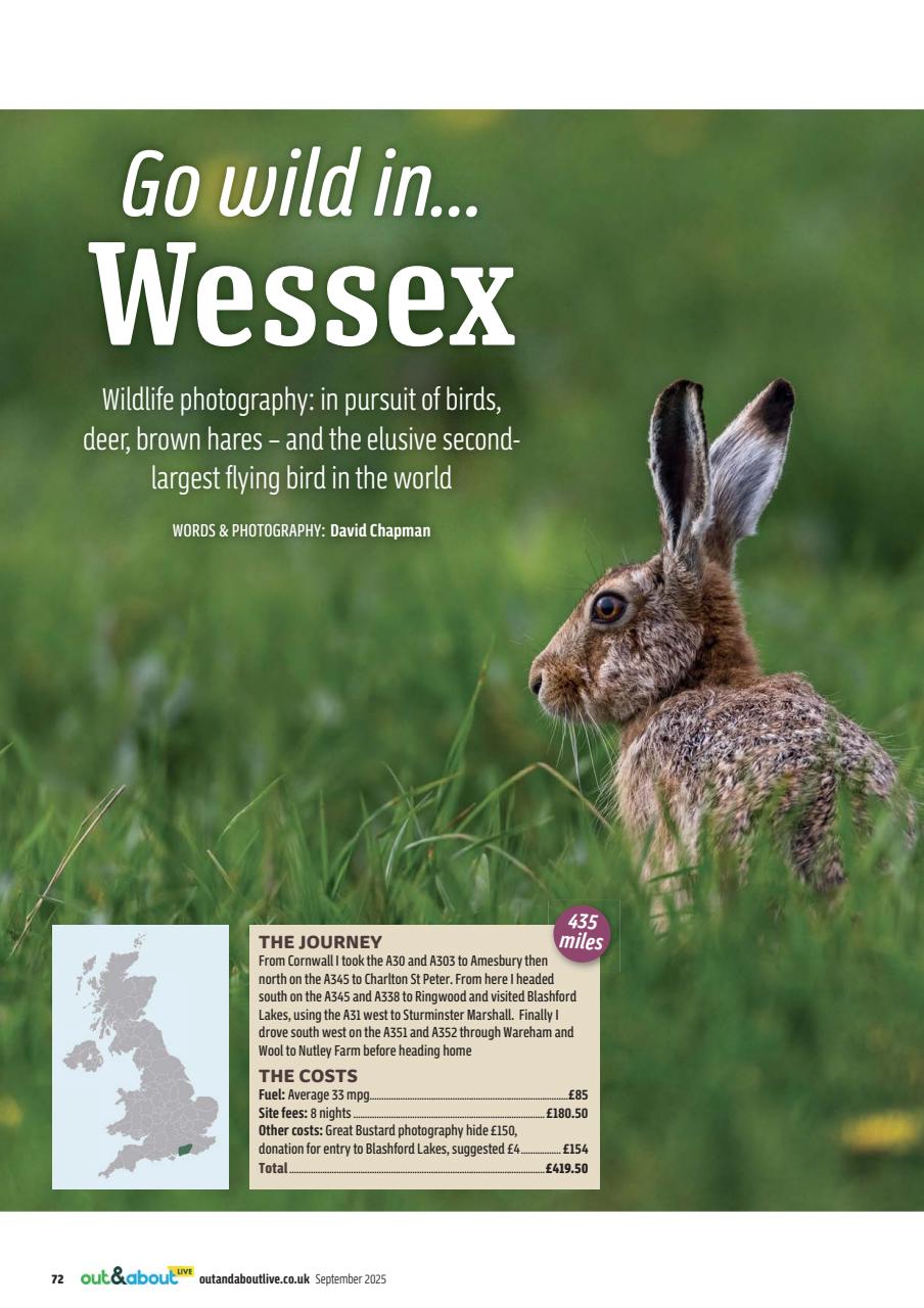 MMM magazine Preview Pages