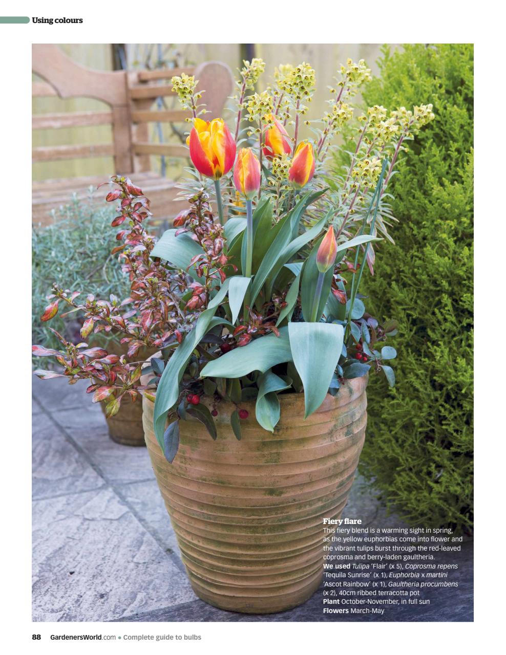 BBC Gardeners’ World Magazine Preview Pages