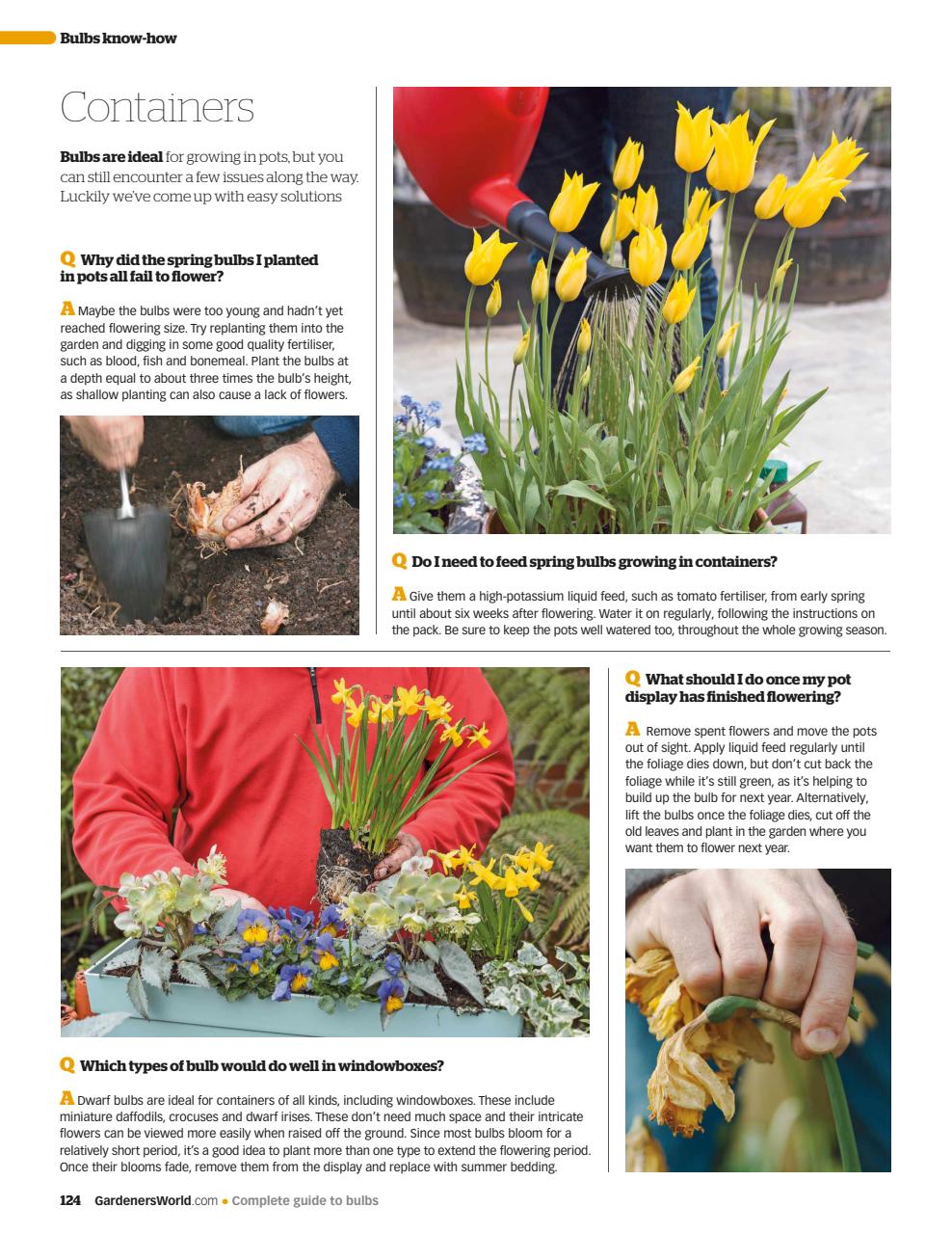 BBC Gardeners’ World Magazine Preview Pages