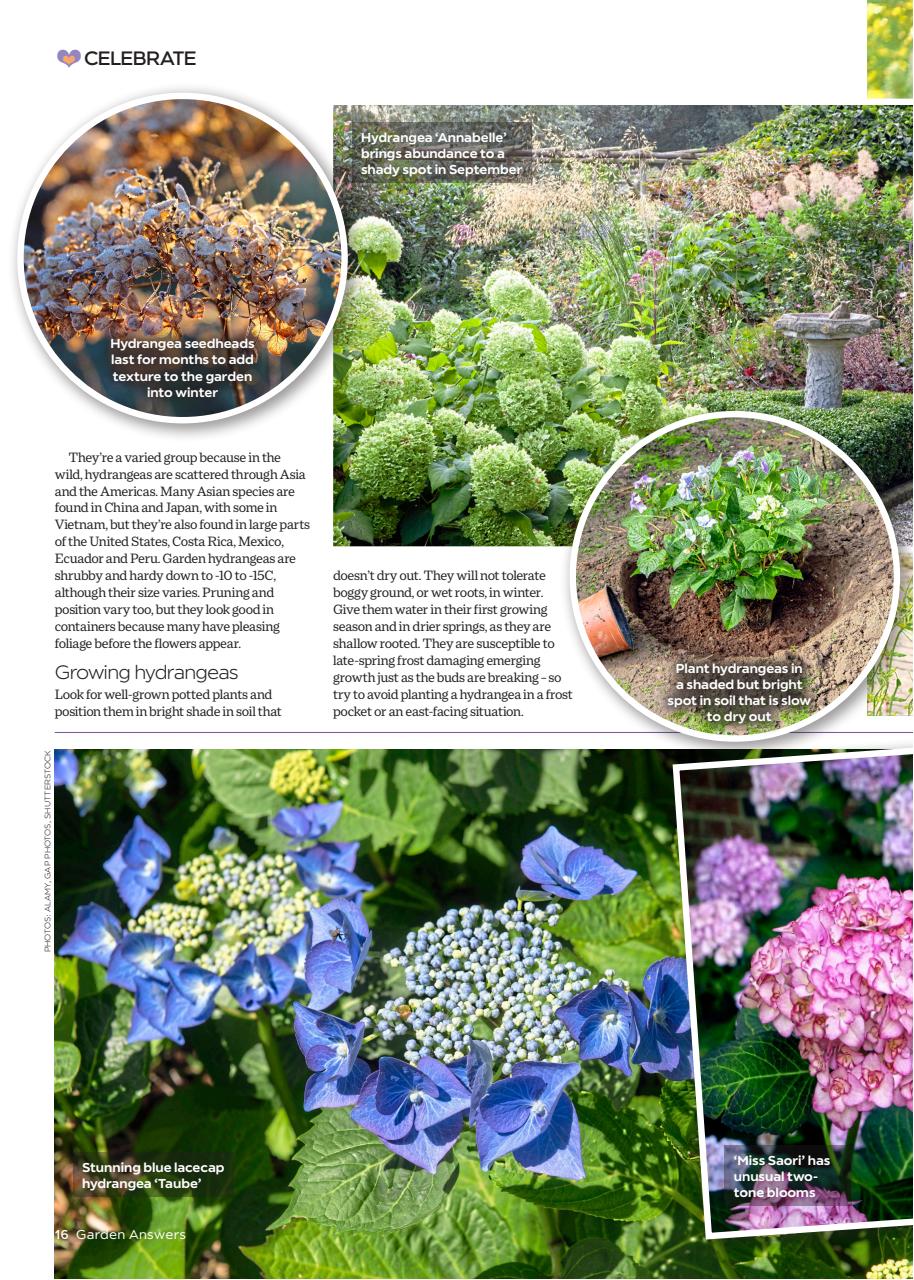 Garden Answers Preview Pages