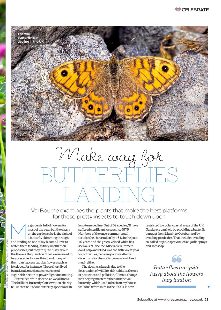 Garden Answers Preview Pages