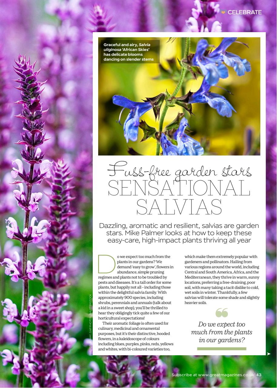 Garden Answers Preview Pages