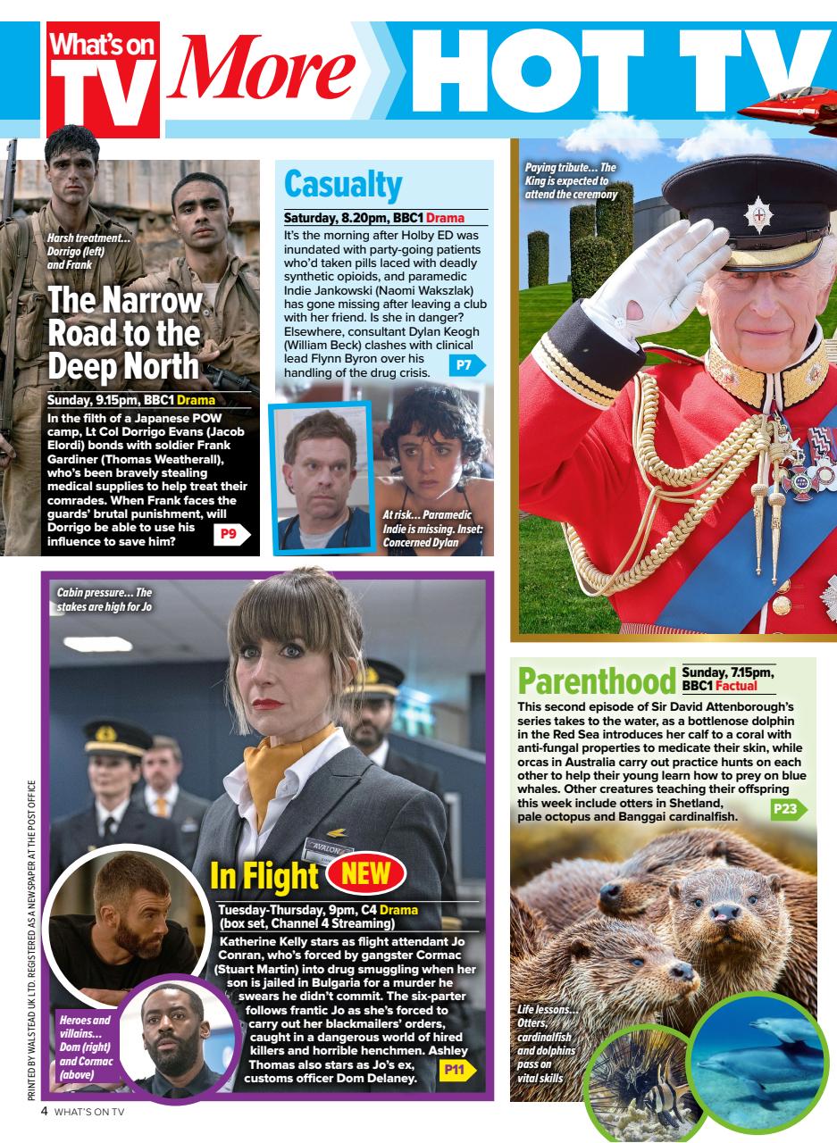 What's on TV Preview Pages