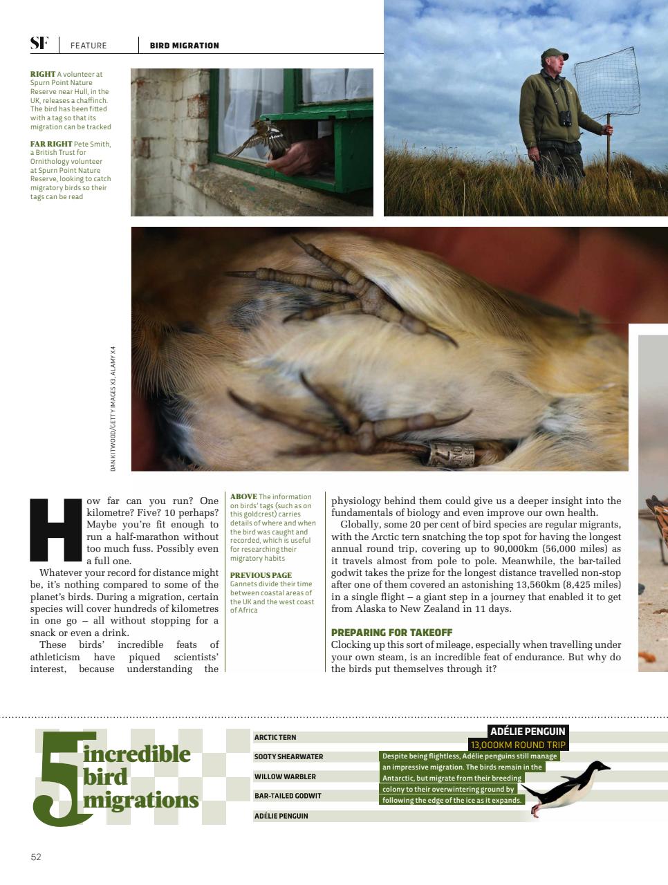 BBC Science Focus Magazine Preview Pages