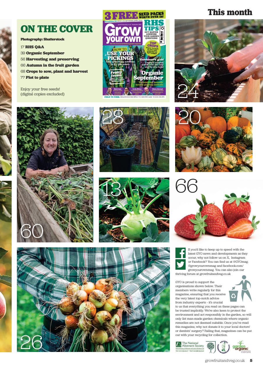 Grow Your Own Preview Pages