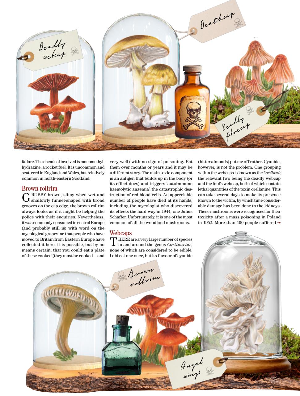 Country Life Preview Pages