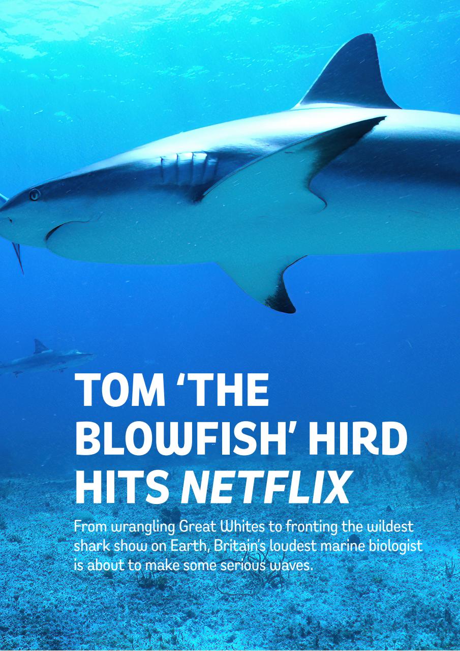 Loaded Preview Pages