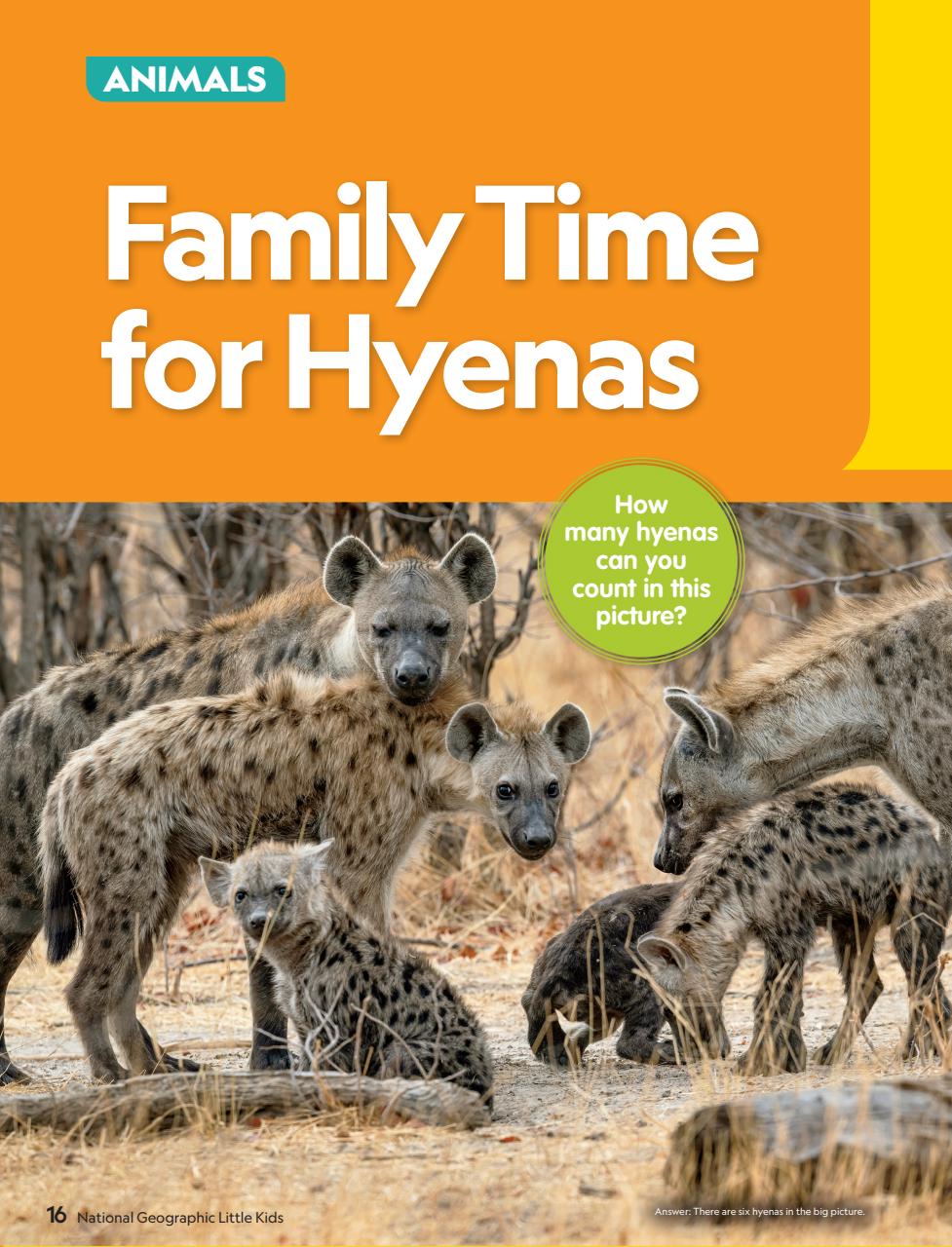 National Geographic Little Kids Preview Pages