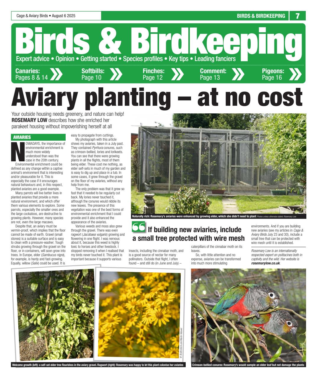 Cage & Aviary Birds Preview Pages