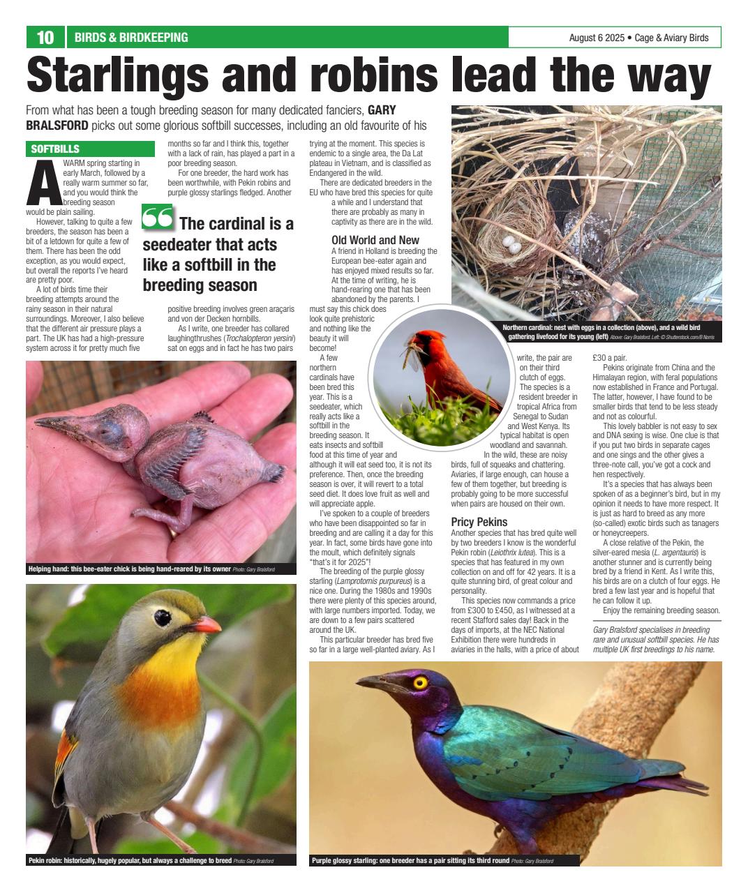 Cage & Aviary Birds Preview Pages