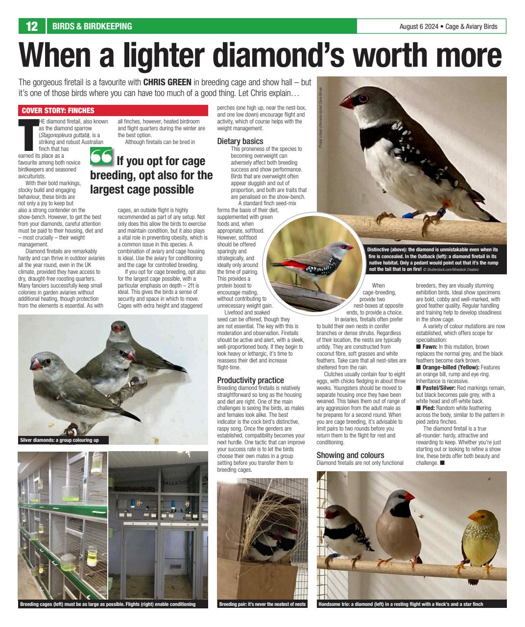 Cage & Aviary Birds Preview Pages