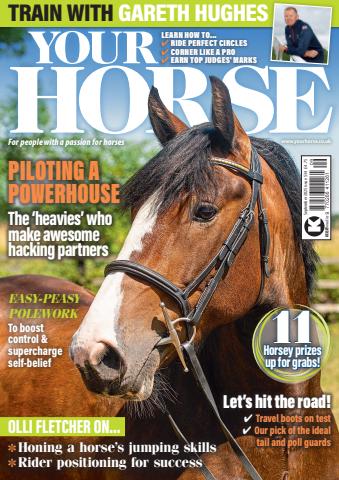 Your Horse issue Sep-25