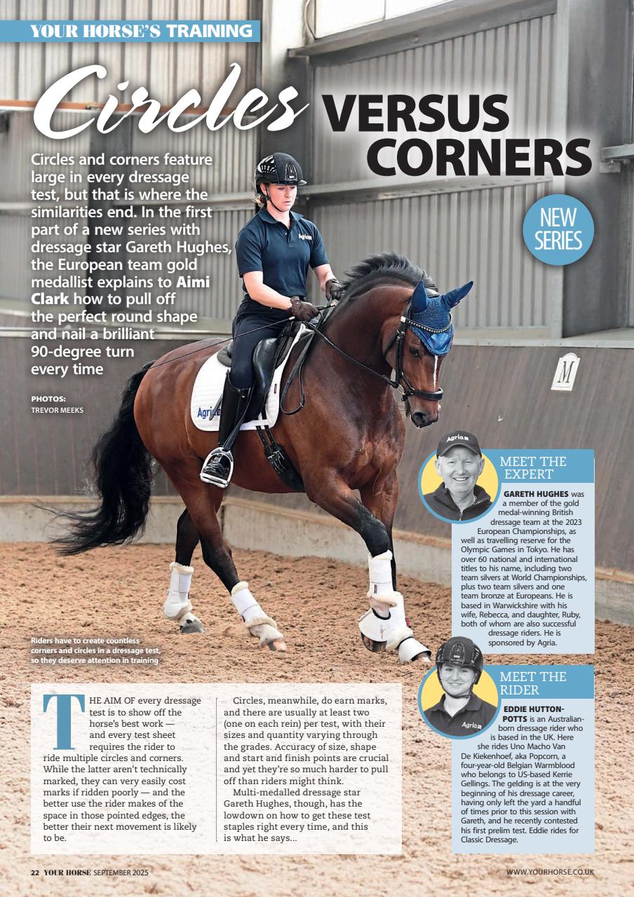 Your Horse Preview Pages