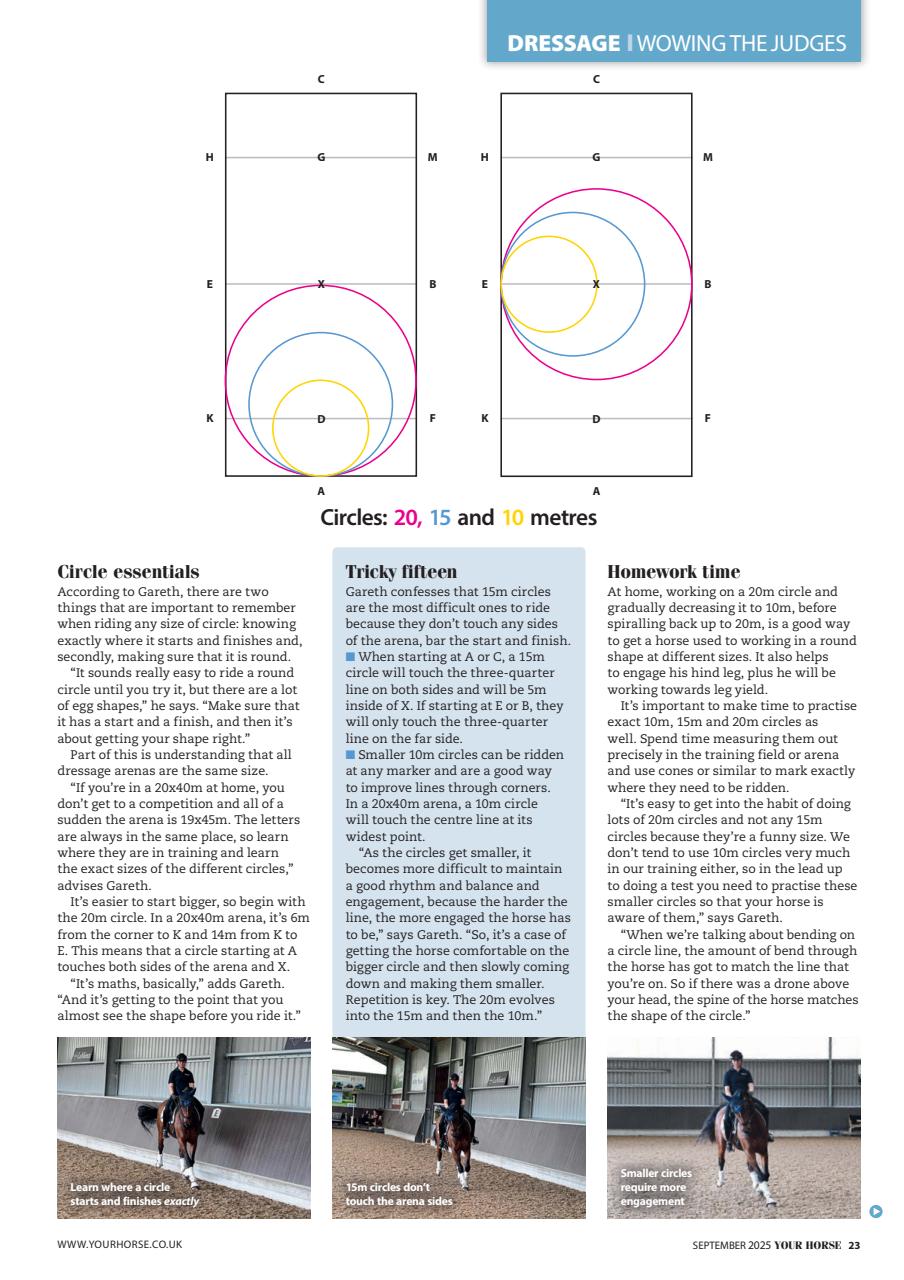 Your Horse Preview Pages