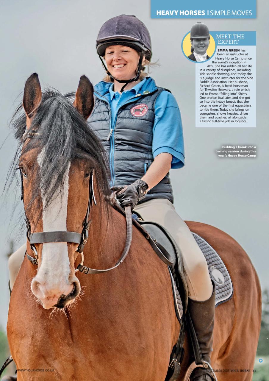 Your Horse Preview Pages