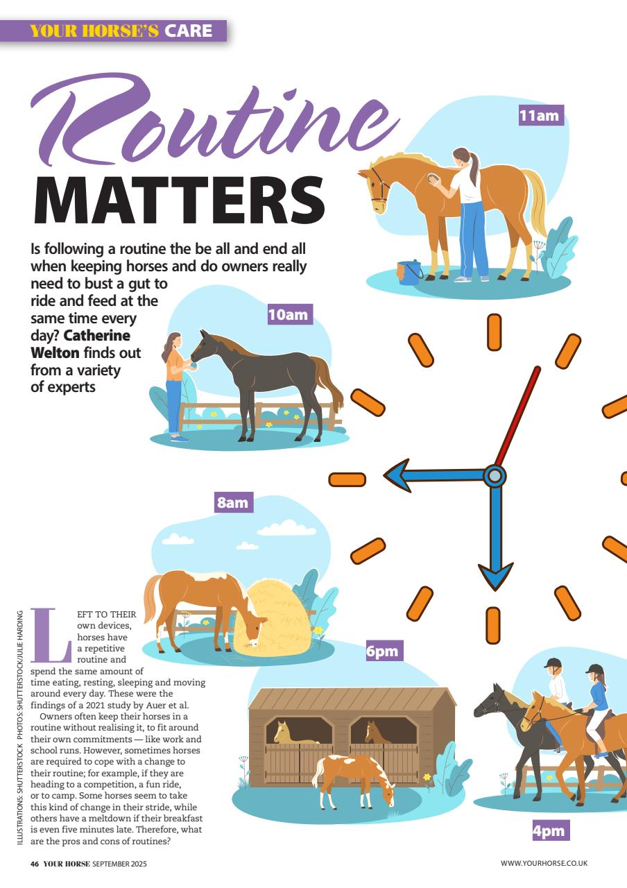 Your Horse Preview Pages