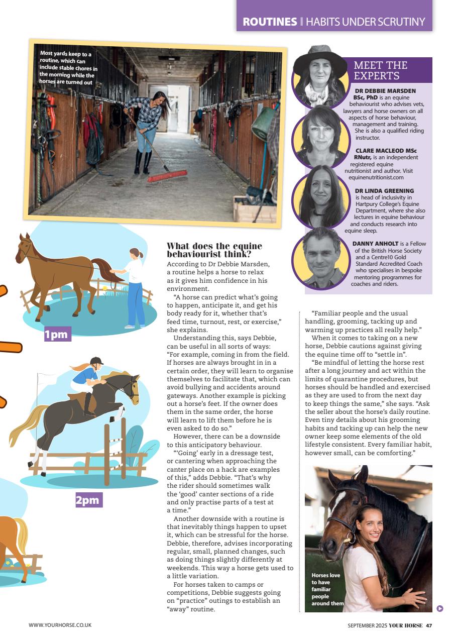 Your Horse Preview Pages