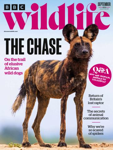 BBC Wildlife Magazine issue September 2025