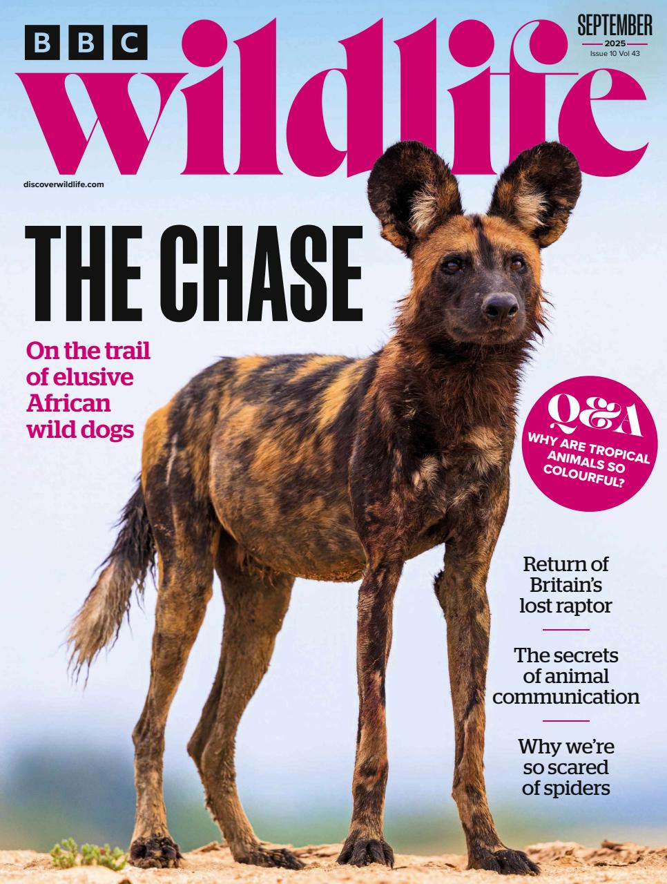 BBC Wildlife Magazine Preview Pages