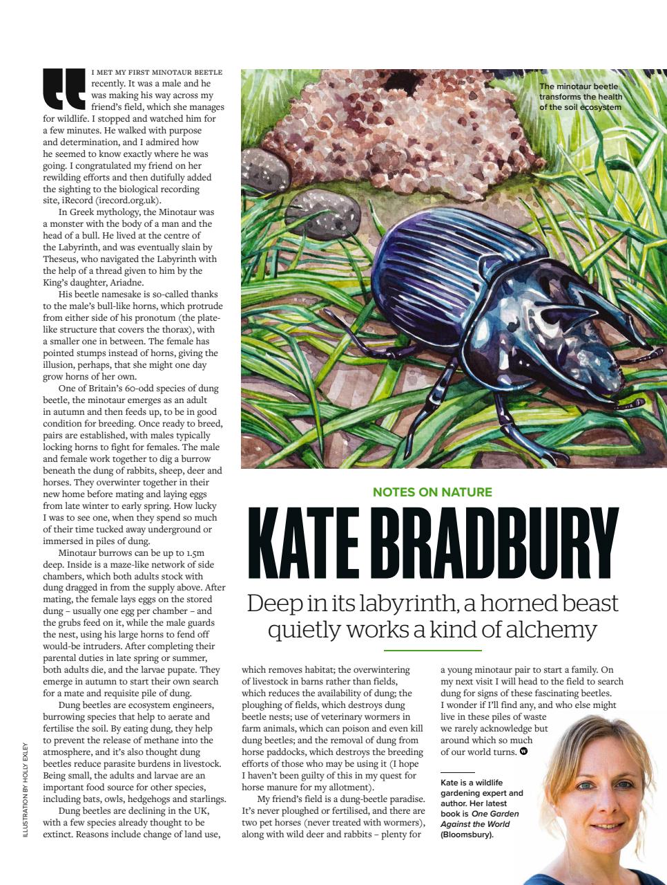 BBC Wildlife Magazine Preview Pages
