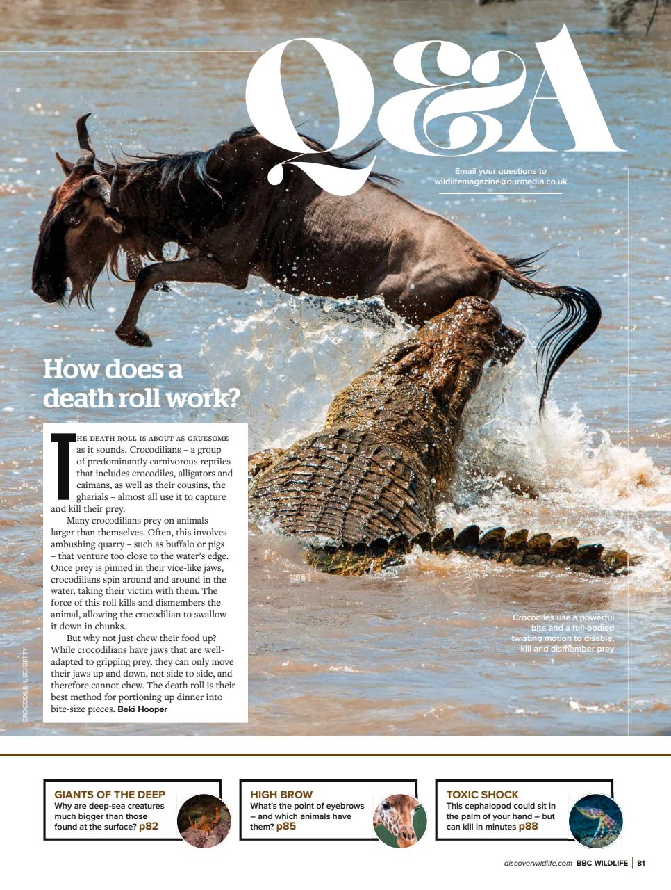 BBC Wildlife Magazine Preview Pages