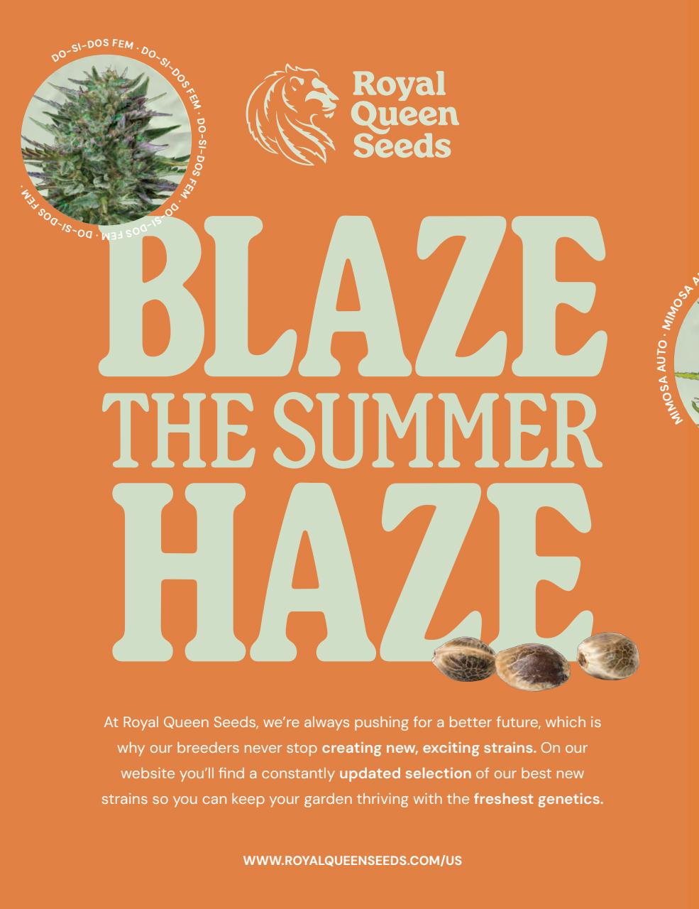 Cannabis Now Preview Pages