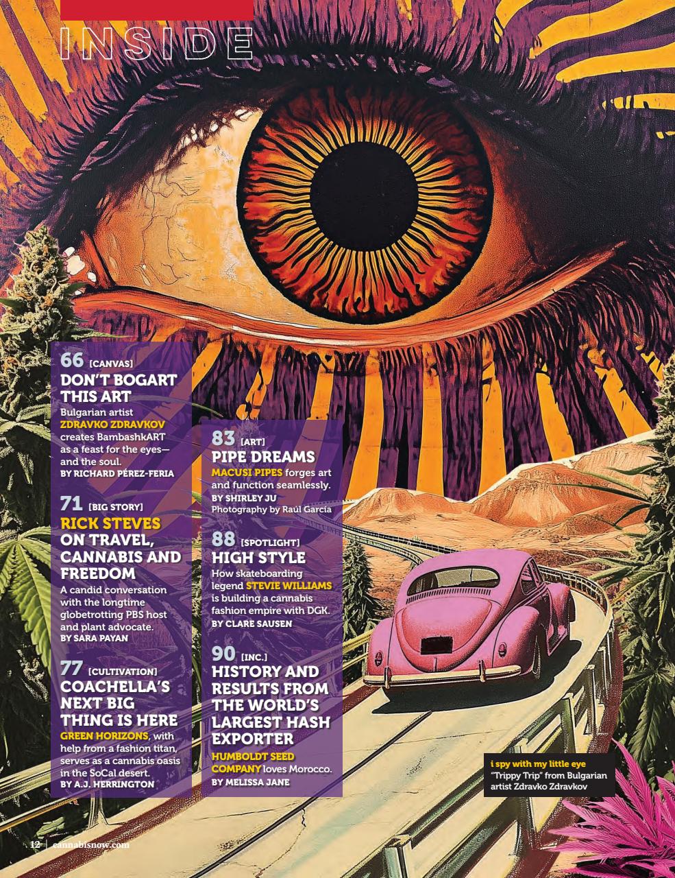 Cannabis Now Preview Pages