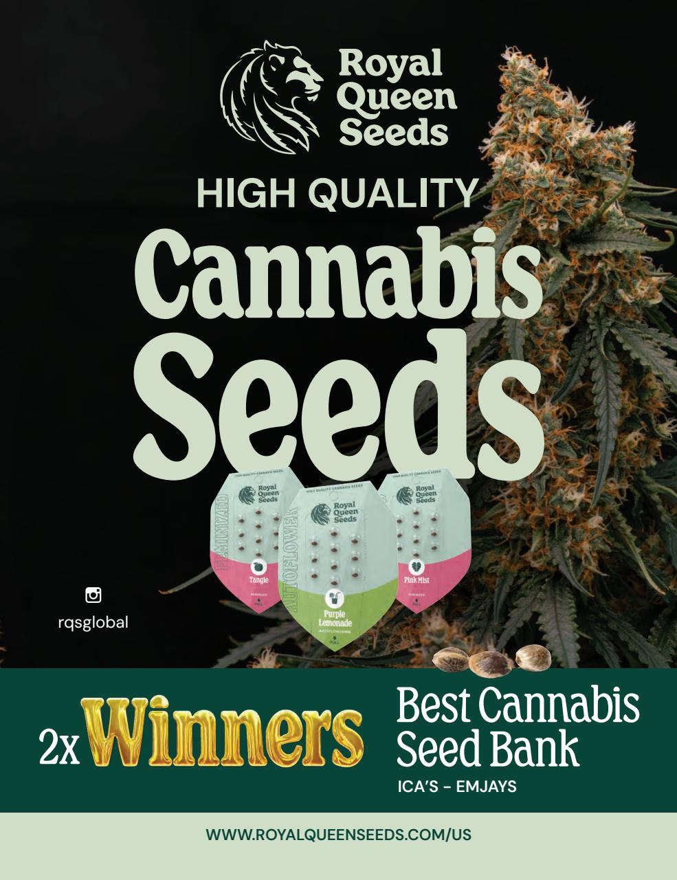 Cannabis Now Preview Pages