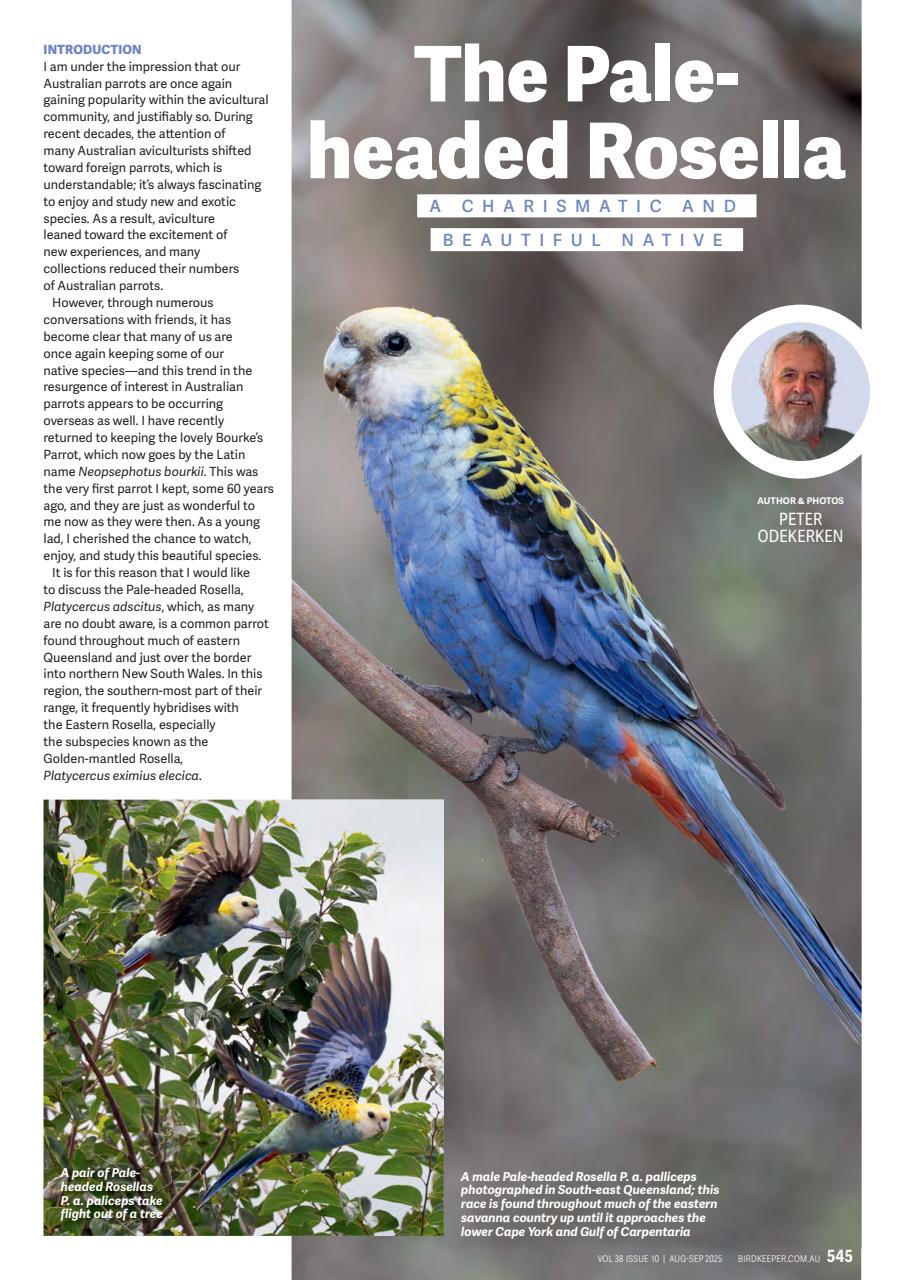 Australian Birdkeeper Magazine Preview Pages