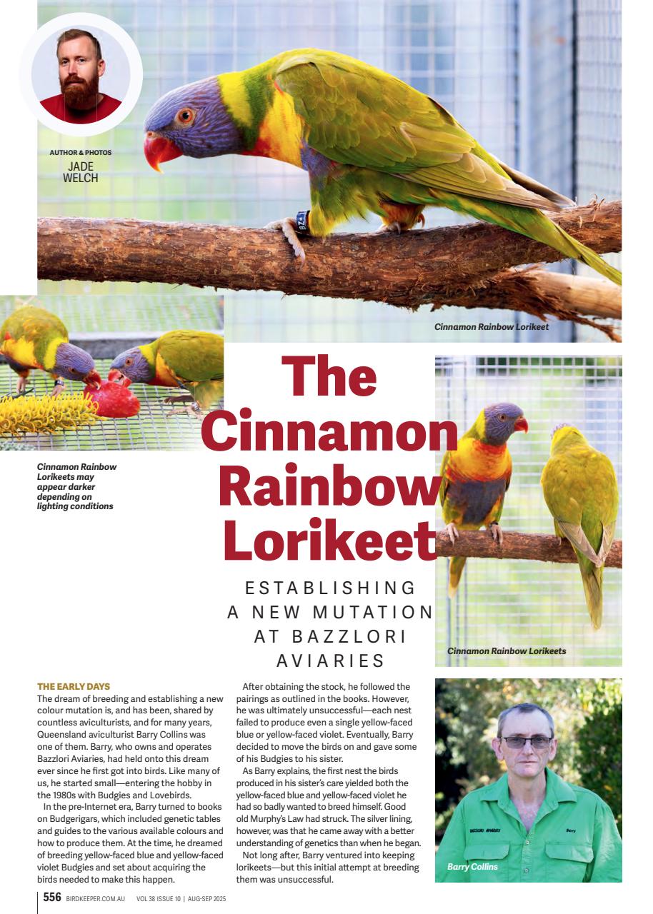Australian Birdkeeper Magazine Preview Pages