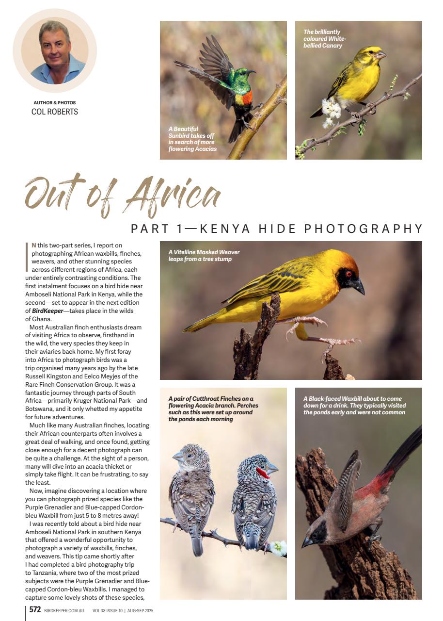 Australian Birdkeeper Magazine Preview Pages