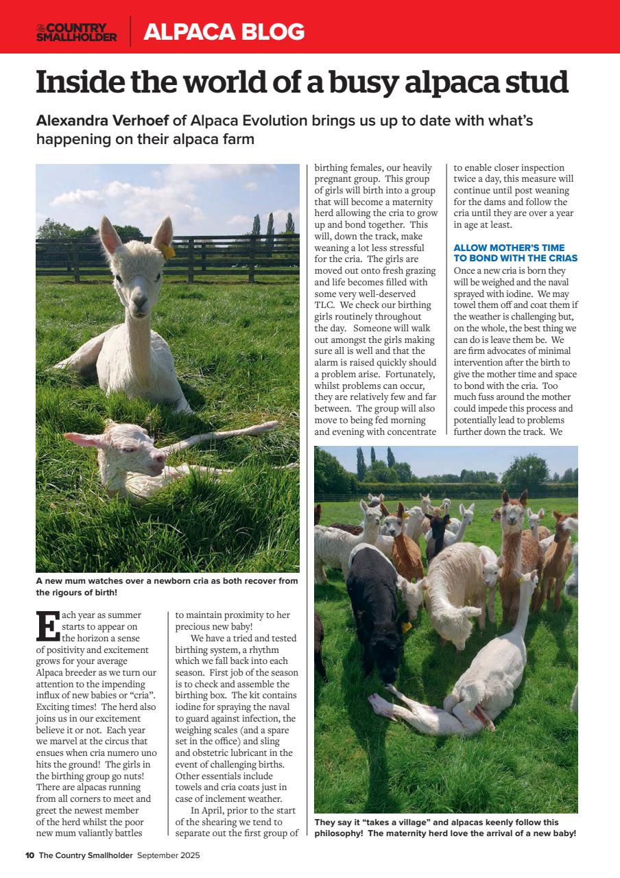 The Country Smallholder Preview Pages