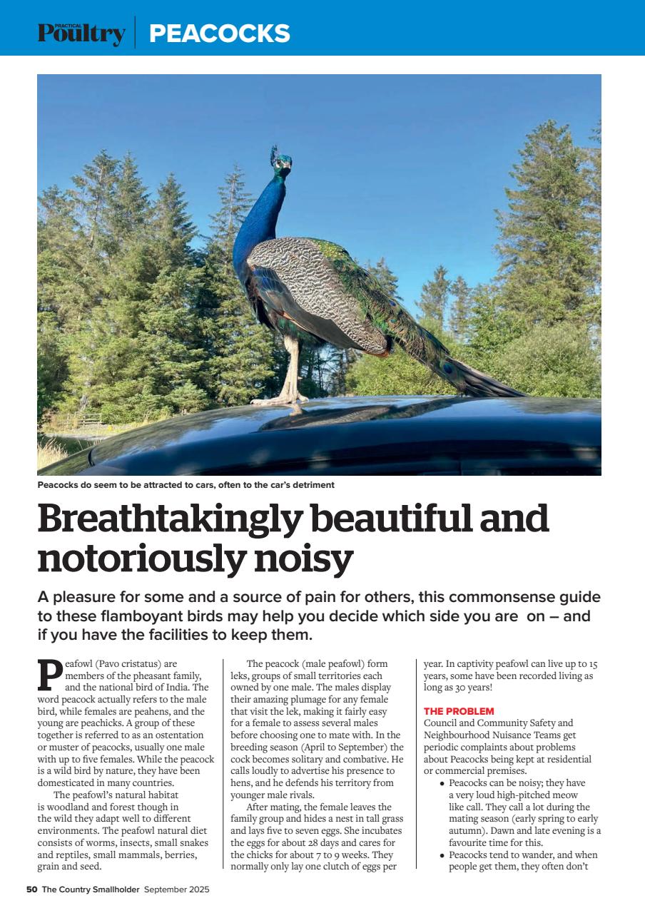 The Country Smallholder Preview Pages